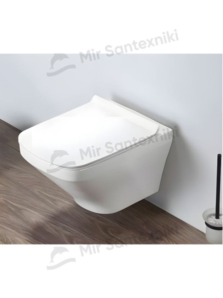 Debora unitazi В2353